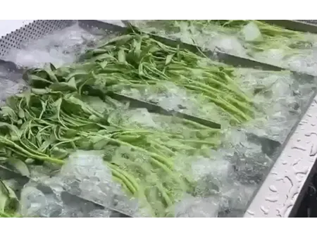 Lavadoras de vegetais