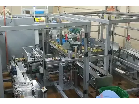 Linha Automática de Embalagem para Macarrão Instantâneo