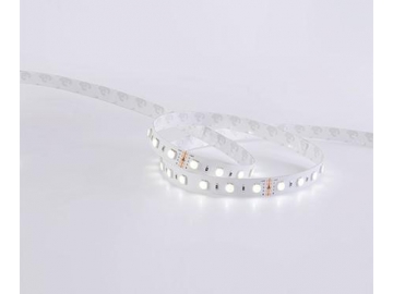 D560RGBW 24V 12mm  Dimmable RGB LED Light Strip