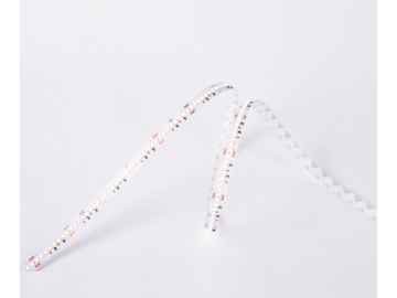 DS8192 24V 12mm  Indoor Flexible LED Strip