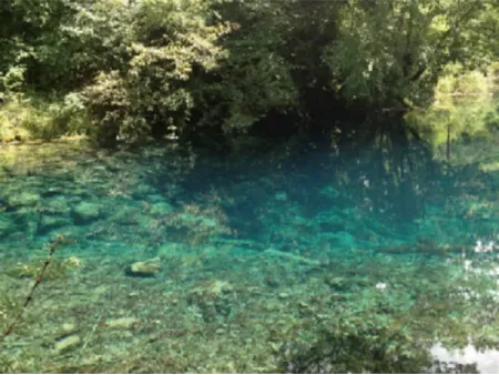 Solução de tratamento de água para jardins e paisagismo e tecnologia de processo