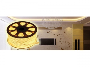 Fita de LED 220V