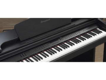 Piano Digital Rosewood DK-190