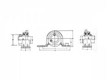 <strong>Mancais de rolamento </strong>série SBPP2,SAPP2