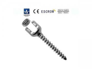 Sistema de fixação da coluna vertebral TORX-KSS-I6.0