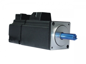 Servomotor