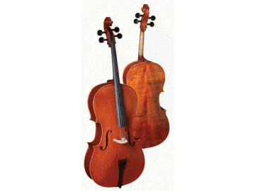 Violoncelo